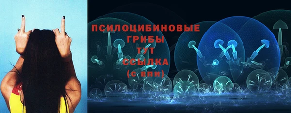 стафф Алексин