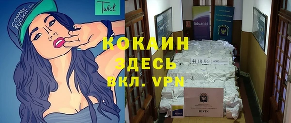 стафф Алексин