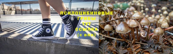 стафф Алексин
