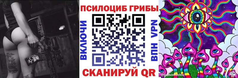 кракен tor  Гаджиево  Псилоцибиновые грибы Cubensis 